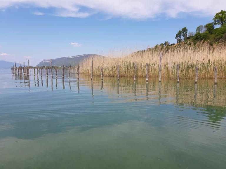 Le Lamartine, vue magnifique face au Lac du Bourget Aix-les-Bains Extérieur photo
